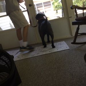 Meet your Posher, Daniel